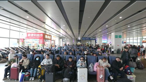 春運進行時 長沙汽車西站客流量攀升，預計2月7日迎峰值